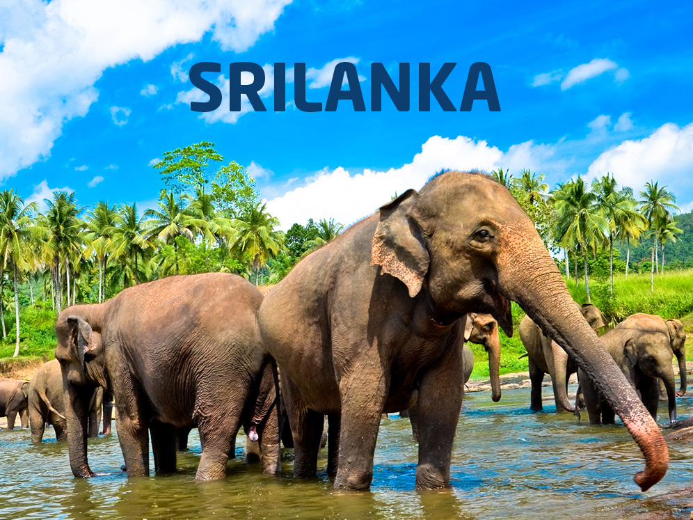 Srilanka Tour Package - Ferna Holidays